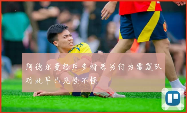 阿德尔曼怒斥多特恶劣行为雷霆队对此早已见怪不怪